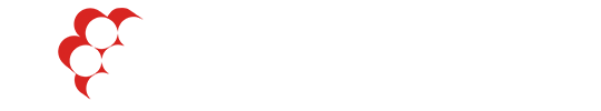 91看片网页免费版电缆